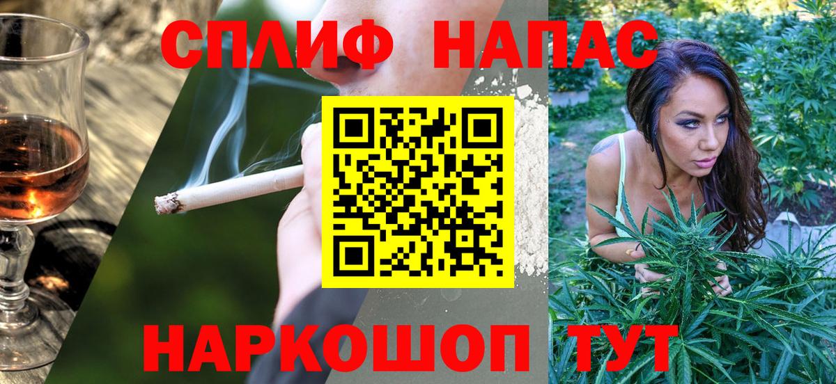 Бошки Шишки планчик Кызыл
